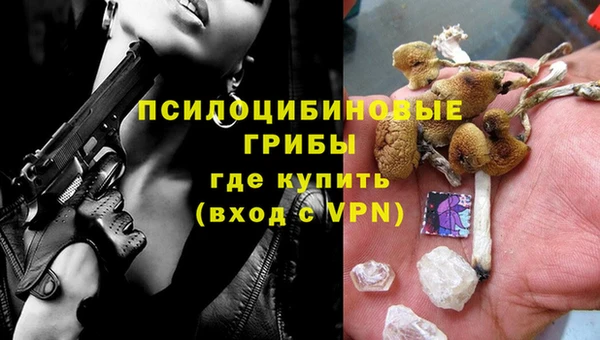 мяу мяу мука Аркадак