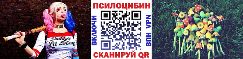 Псилоцибиновые грибы Magic Shrooms  что такое   Мончегорск 